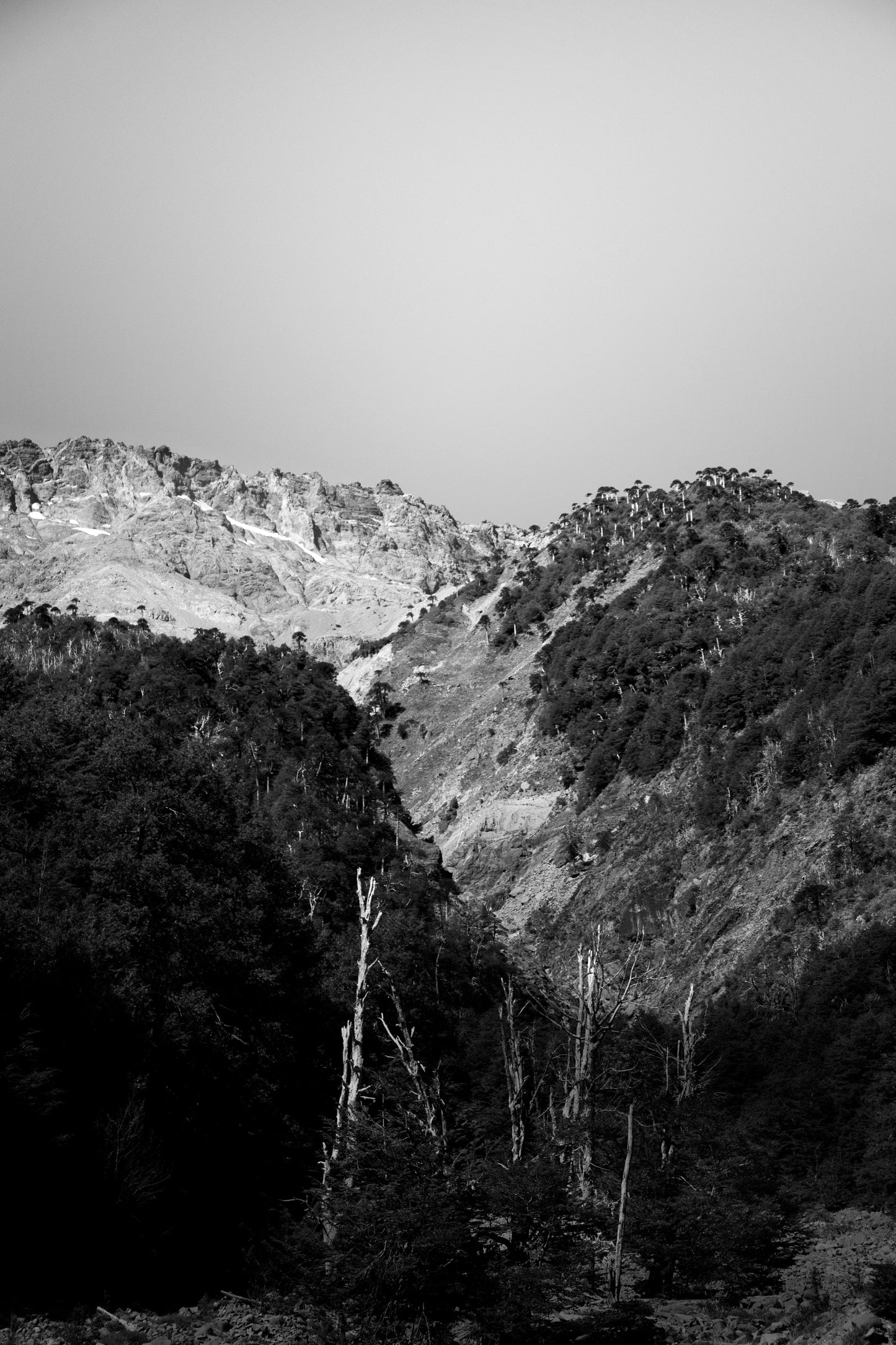 Cañon del Blanco Blanco y Negro