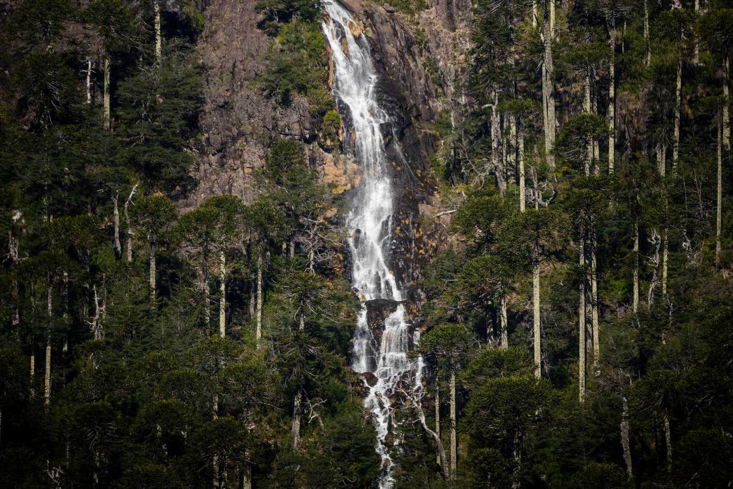 Cascada Tolhuaca