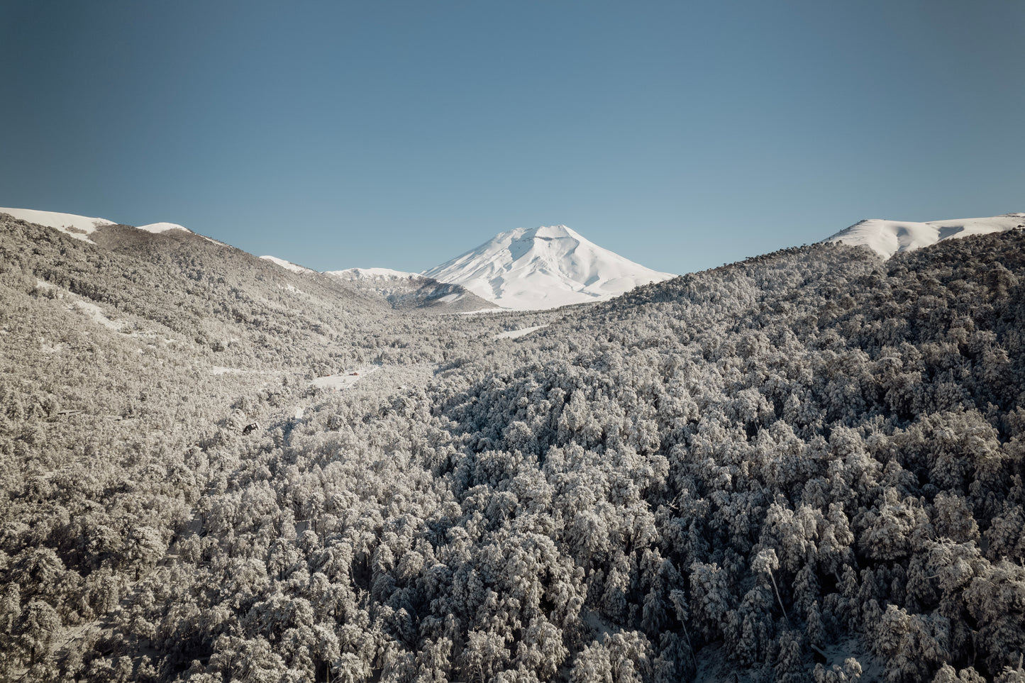 Volcan Lonquimay nevado